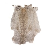 Rabbit Fur Skin